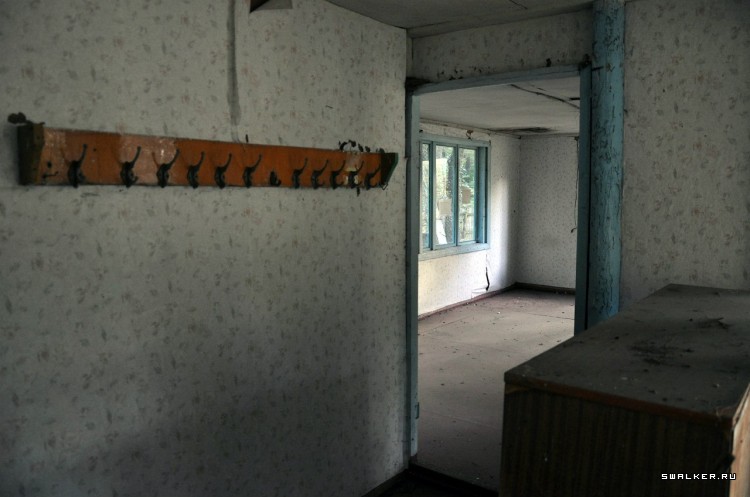 Пионер лагерь БЕРЕЗКА