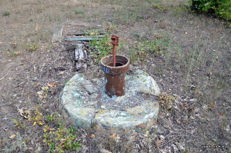 Пионер лагерь БЕРЕЗКА