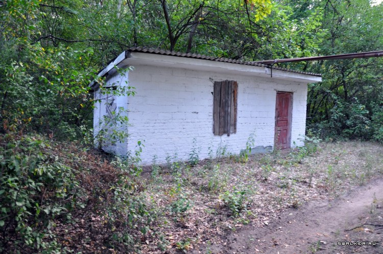 Пионер лагерь БЕРЕЗКА