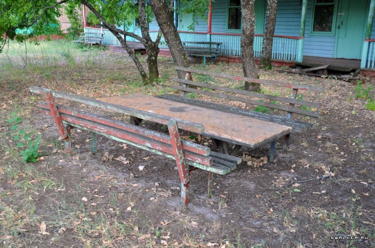 Пионер лагерь БЕРЕЗКА