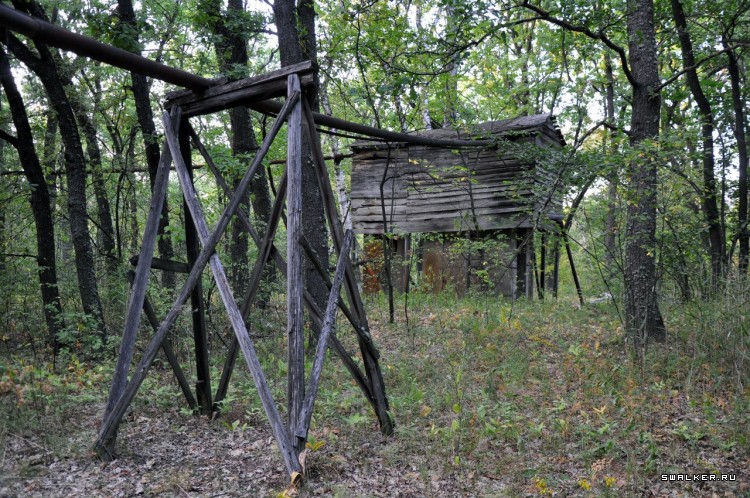 Пионер лагерь БЕРЕЗКА