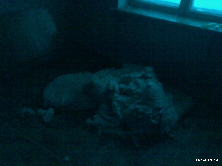 Припять по-Уральски (2 года спустя), Свердловская область