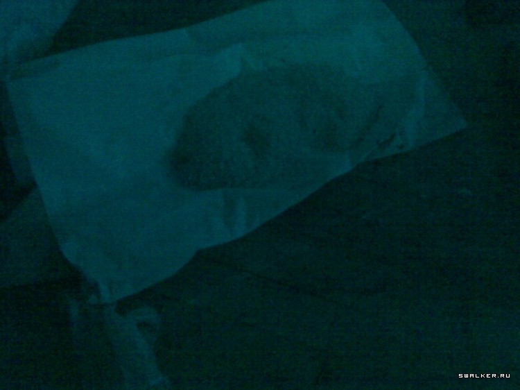 Припять по-Уральски (2 года спустя), Свердловская область