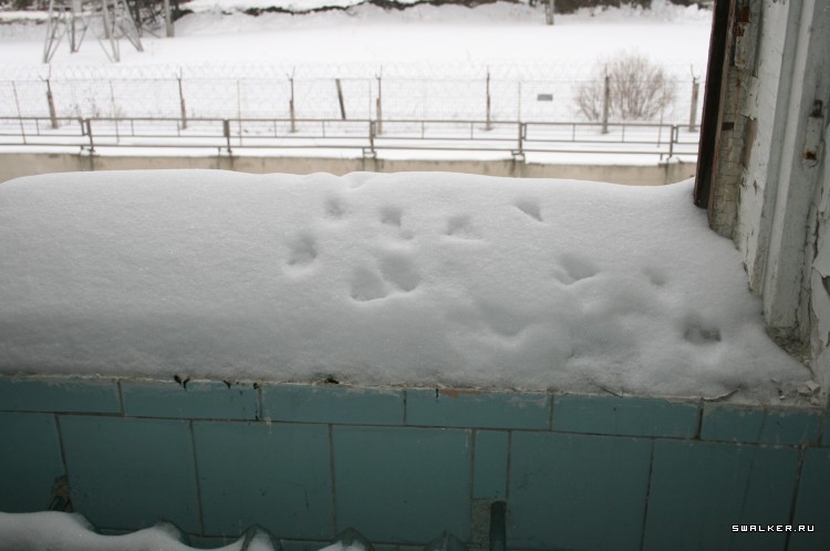 Автомоторный завод, Свердловская область