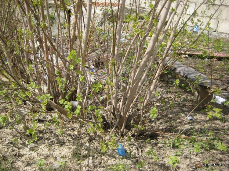 Недостроенная больница, Свердловская область