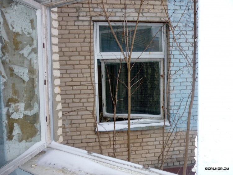 Детский оздоровительный лагерь