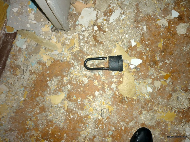 Детский оздоровительный лагерь