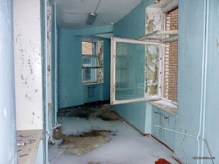 Детский оздоровительный лагерь