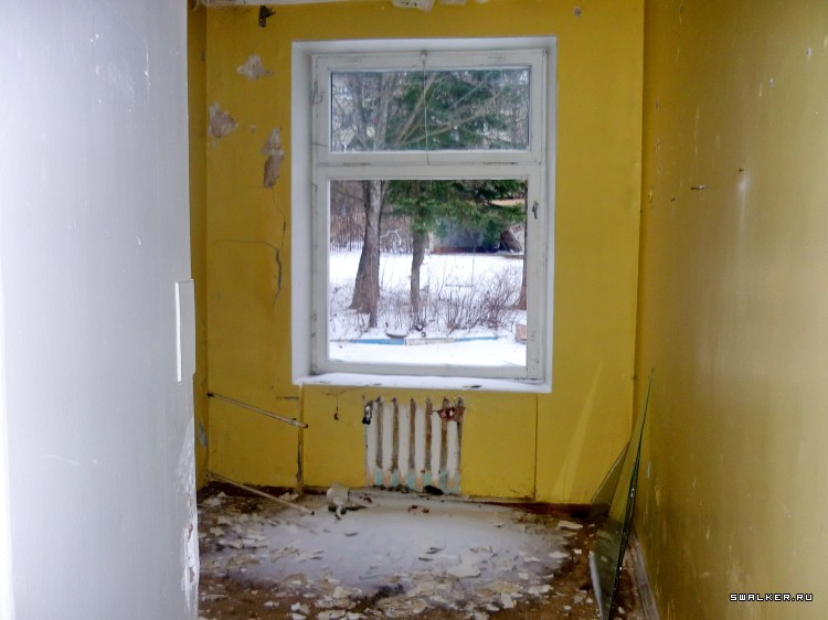 Детский оздоровительный лагерь