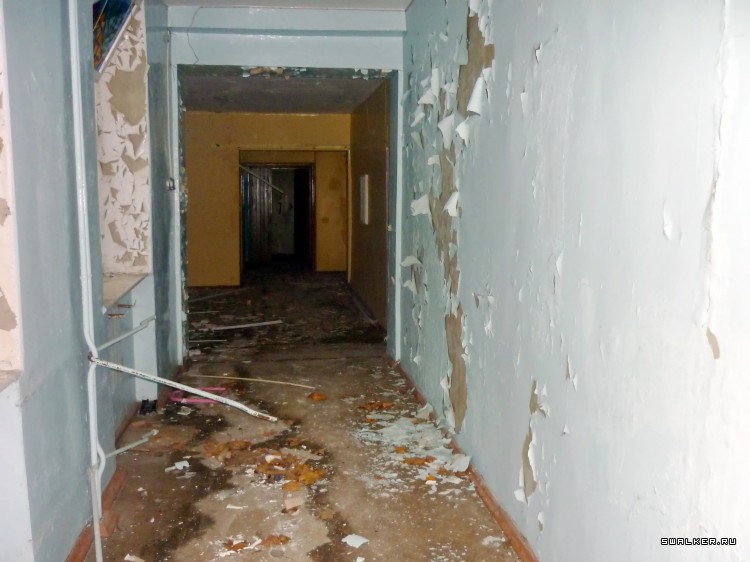 Детский оздоровительный лагерь