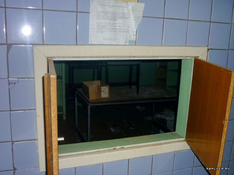 Детский оздоровительный лагерь