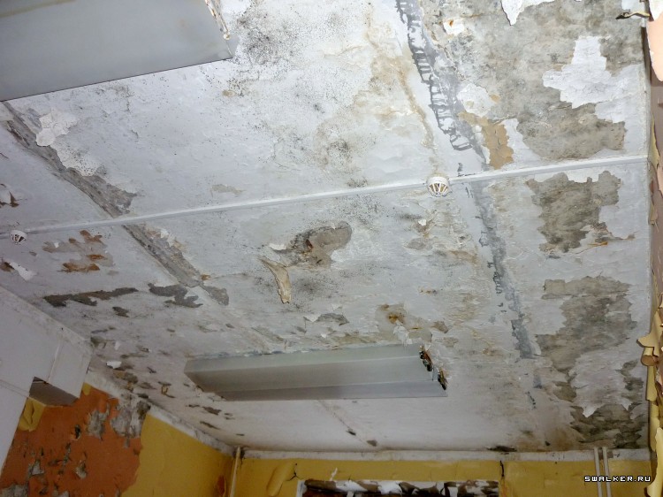 Детский оздоровительный лагерь