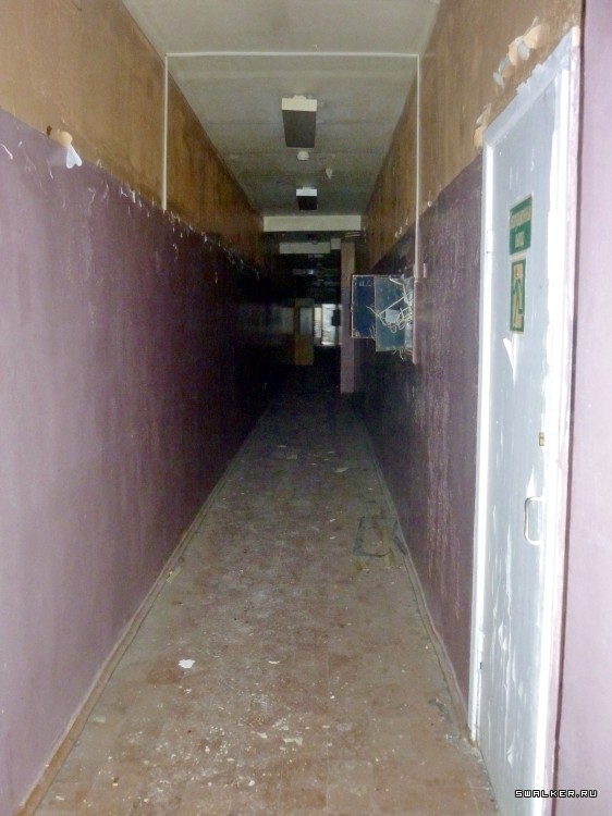 Детский оздоровительный лагерь