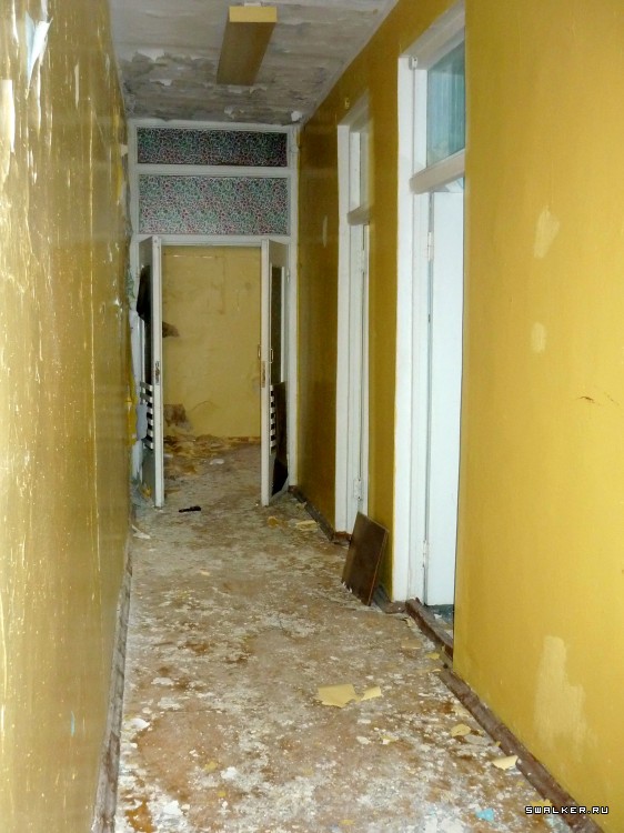 Детский оздоровительный лагерь