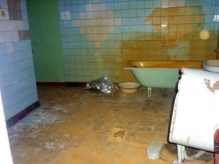 Детский оздоровительный лагерь