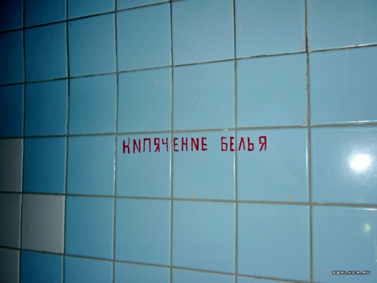 Детский оздоровительный лагерь