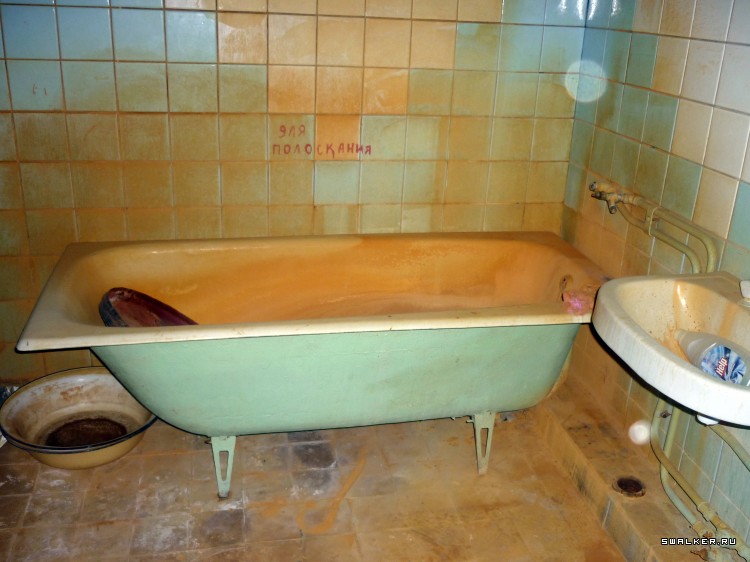 Детский оздоровительный лагерь