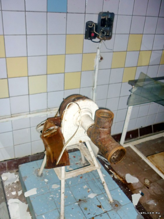 Детский оздоровительный лагерь