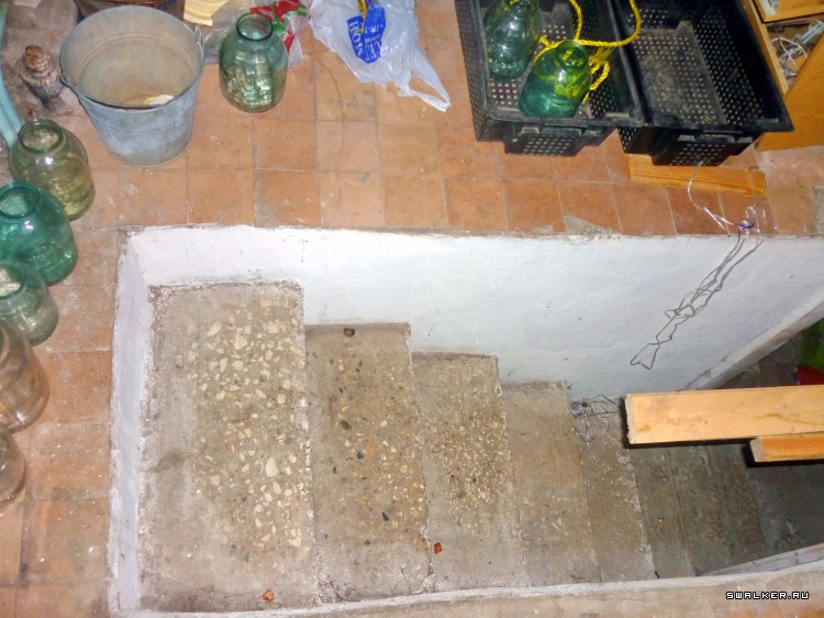 Детский оздоровительный лагерь