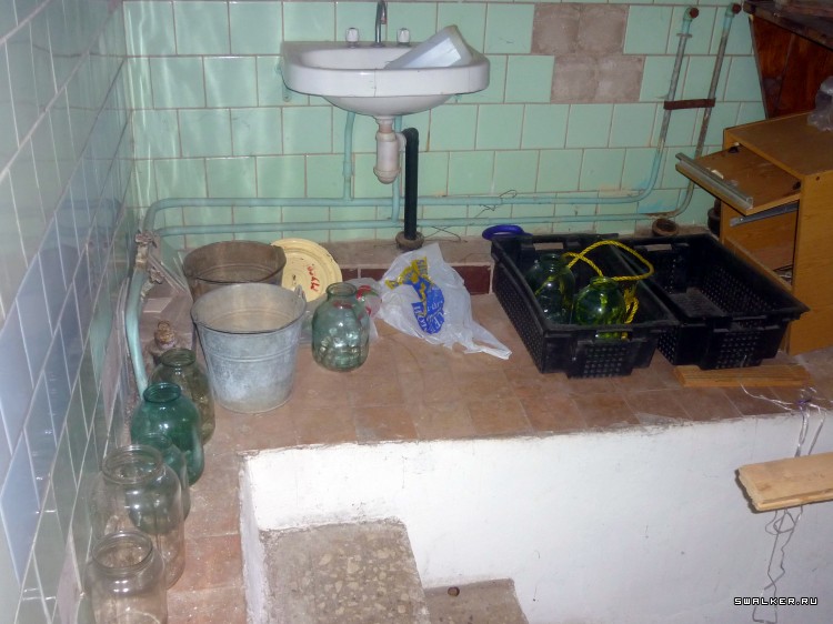 Детский оздоровительный лагерь