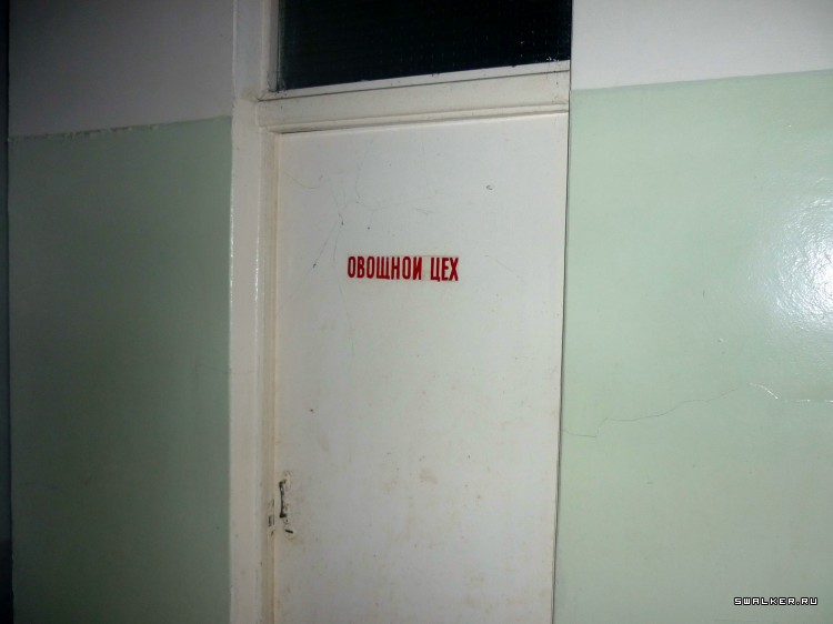 Детский оздоровительный лагерь