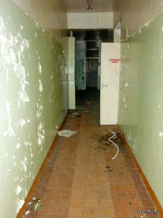 Детский оздоровительный лагерь