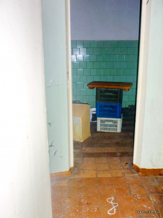 Детский оздоровительный лагерь