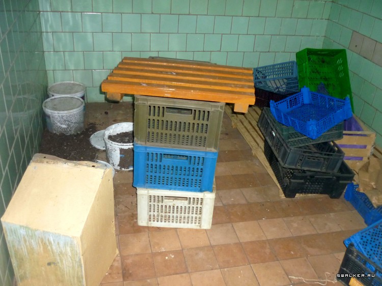 Детский оздоровительный лагерь