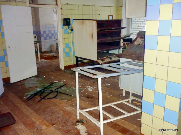 Детский оздоровительный лагерь