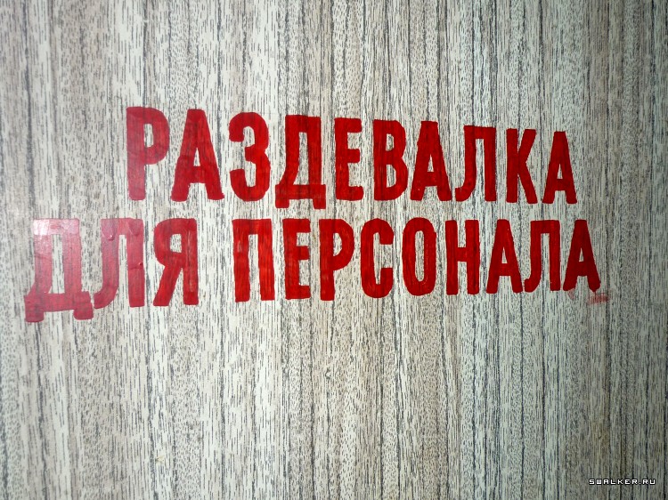 Детский оздоровительный лагерь