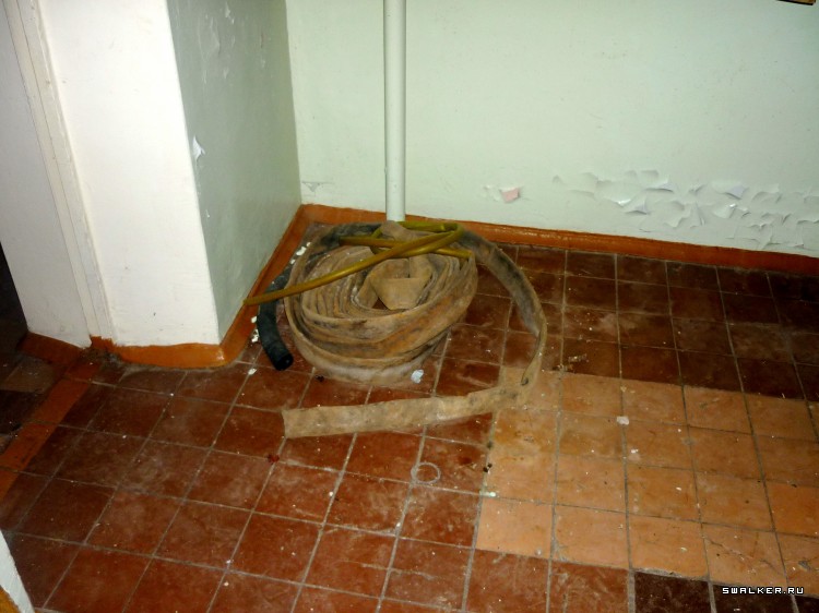 Детский оздоровительный лагерь