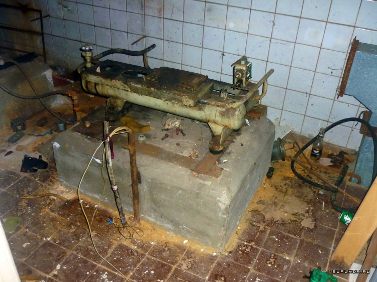 Детский оздоровительный лагерь