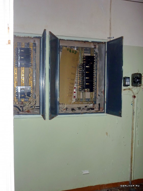 Детский оздоровительный лагерь