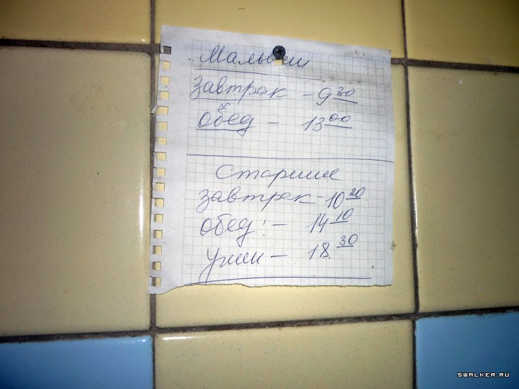 Детский оздоровительный лагерь