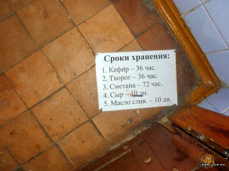 Детский оздоровительный лагерь