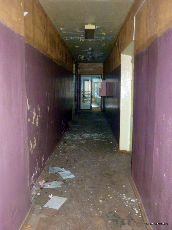 Детский оздоровительный лагерь