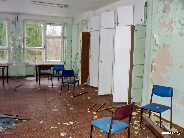 Детский оздоровительный лагерь