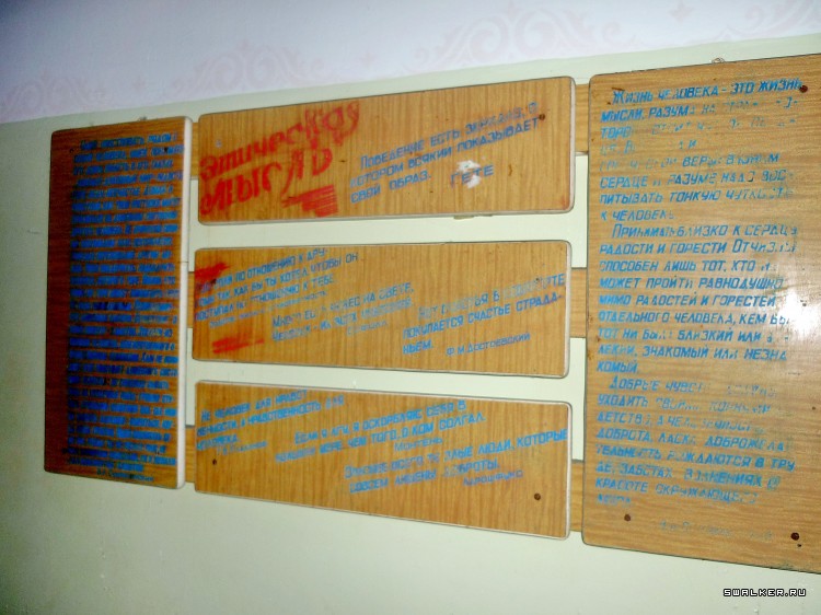 Детский оздоровительный лагерь