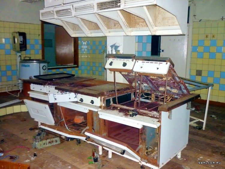 Детский оздоровительный лагерь