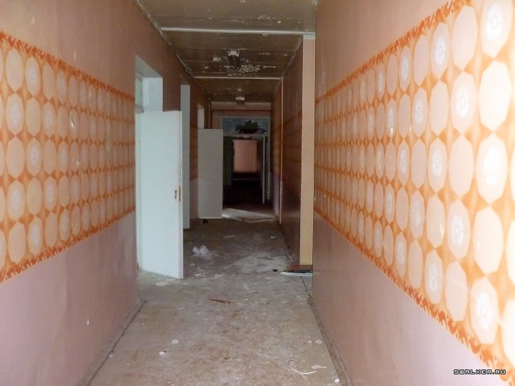 Детский оздоровительный лагерь