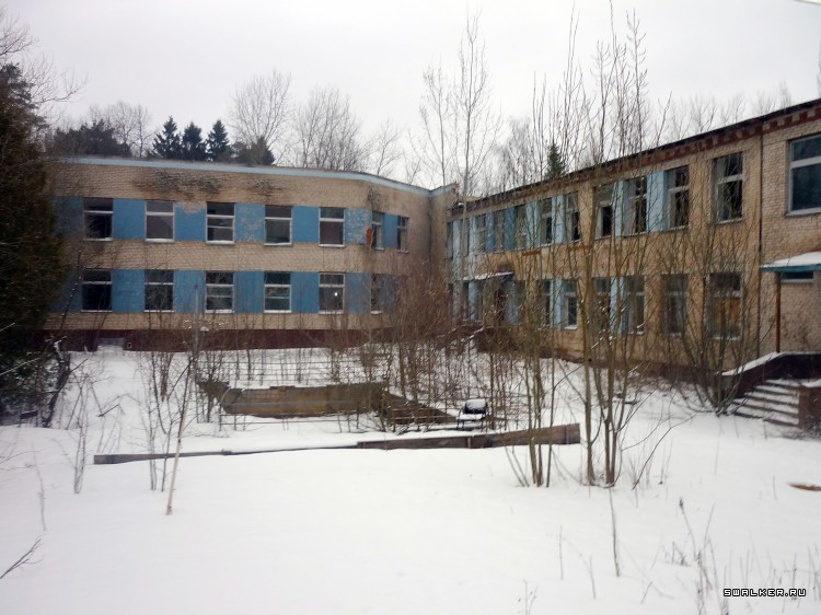 Детский оздоровительный лагерь