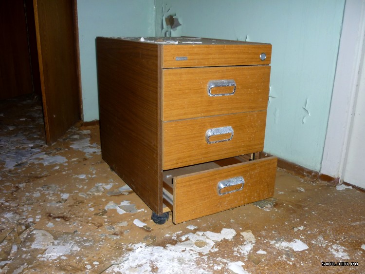 Детский оздоровительный лагерь