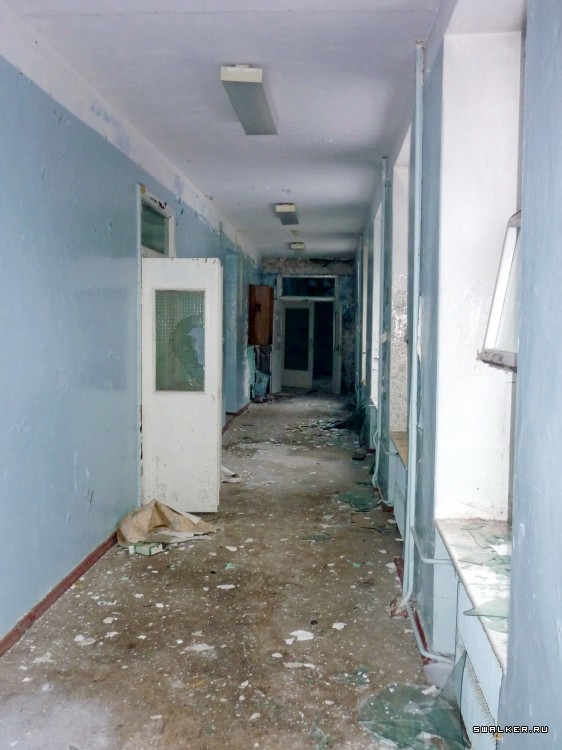 Детский оздоровительный лагерь