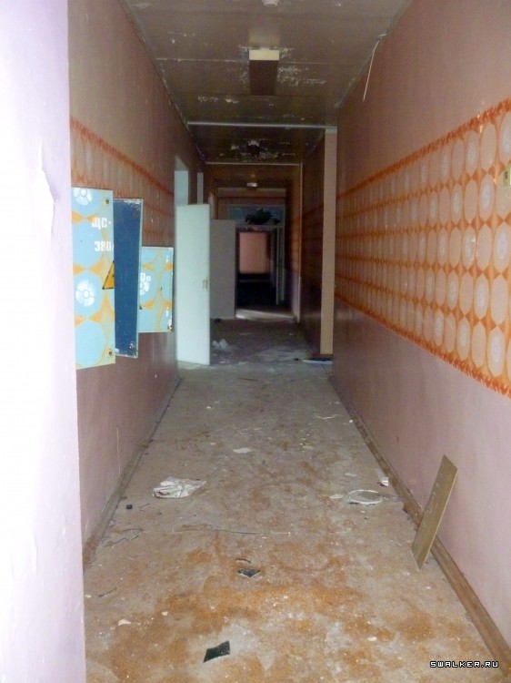 Детский оздоровительный лагерь