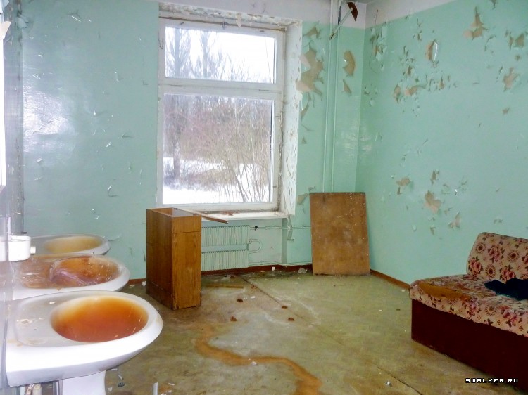 Детский оздоровительный лагерь