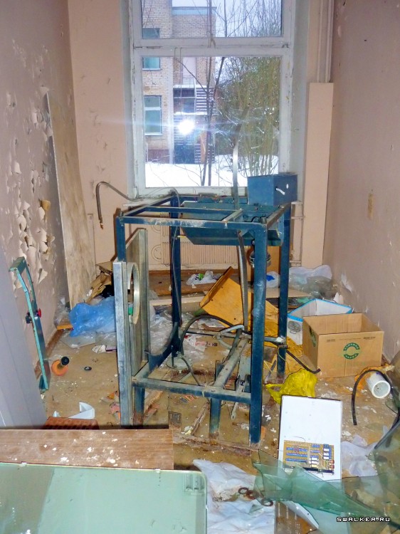 Детский оздоровительный лагерь