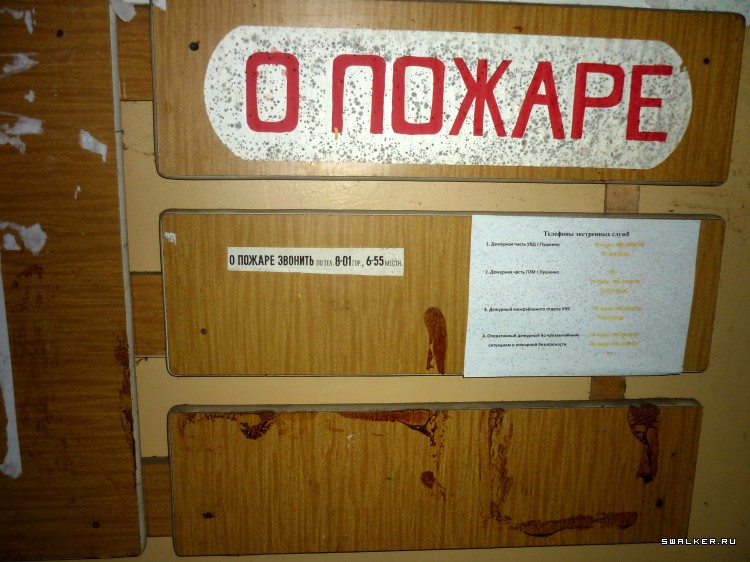 Детский оздоровительный лагерь