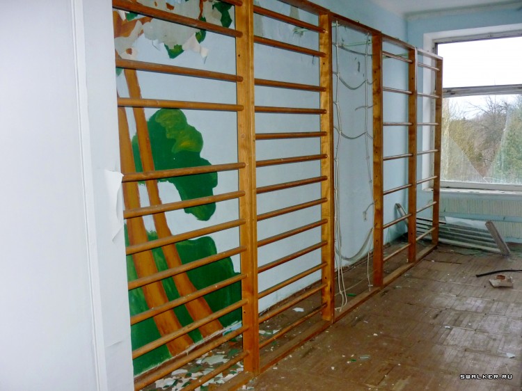 Детский оздоровительный лагерь