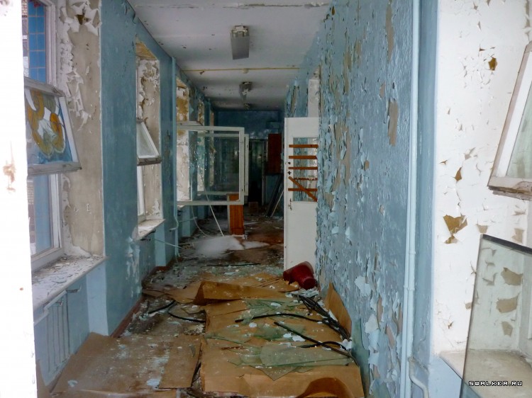 Детский оздоровительный лагерь