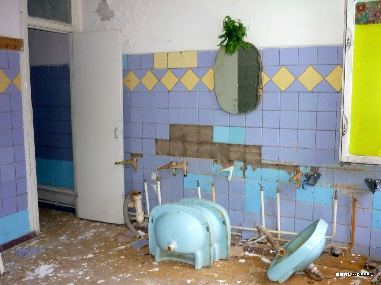 Детский оздоровительный лагерь